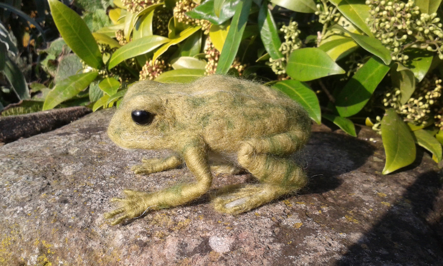 HARLEQUIN TOAD & FROG NEEDLE FELT KIT - Image 3